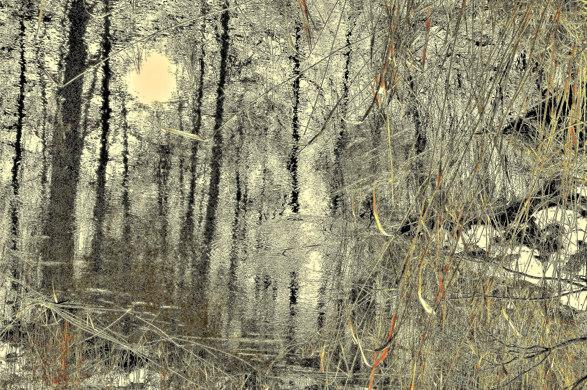 Z pamiętnika "Mój Dany Mi Świat". 02/2022r.