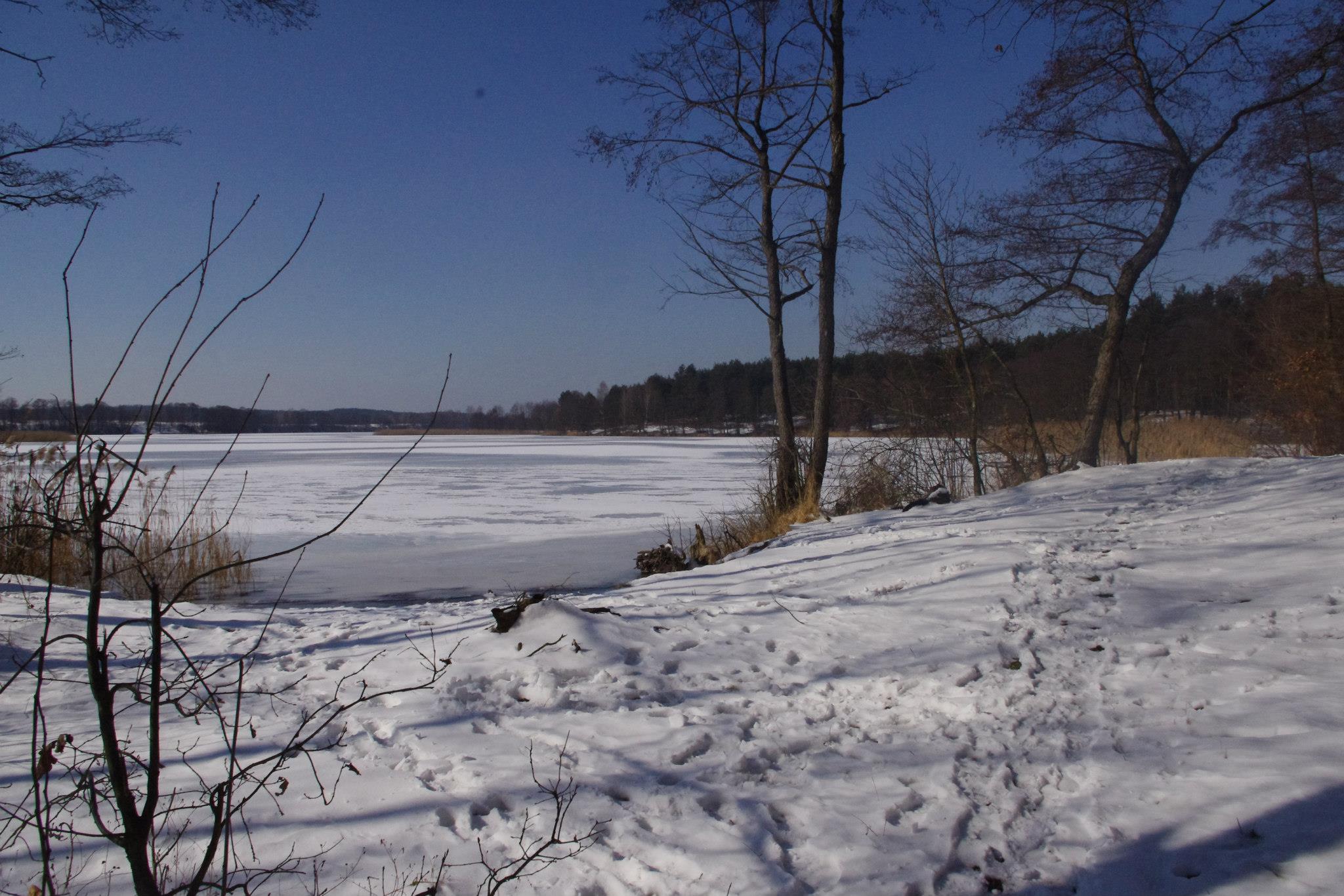 Z pamiętnika 'Mój Dany Mi Świat”