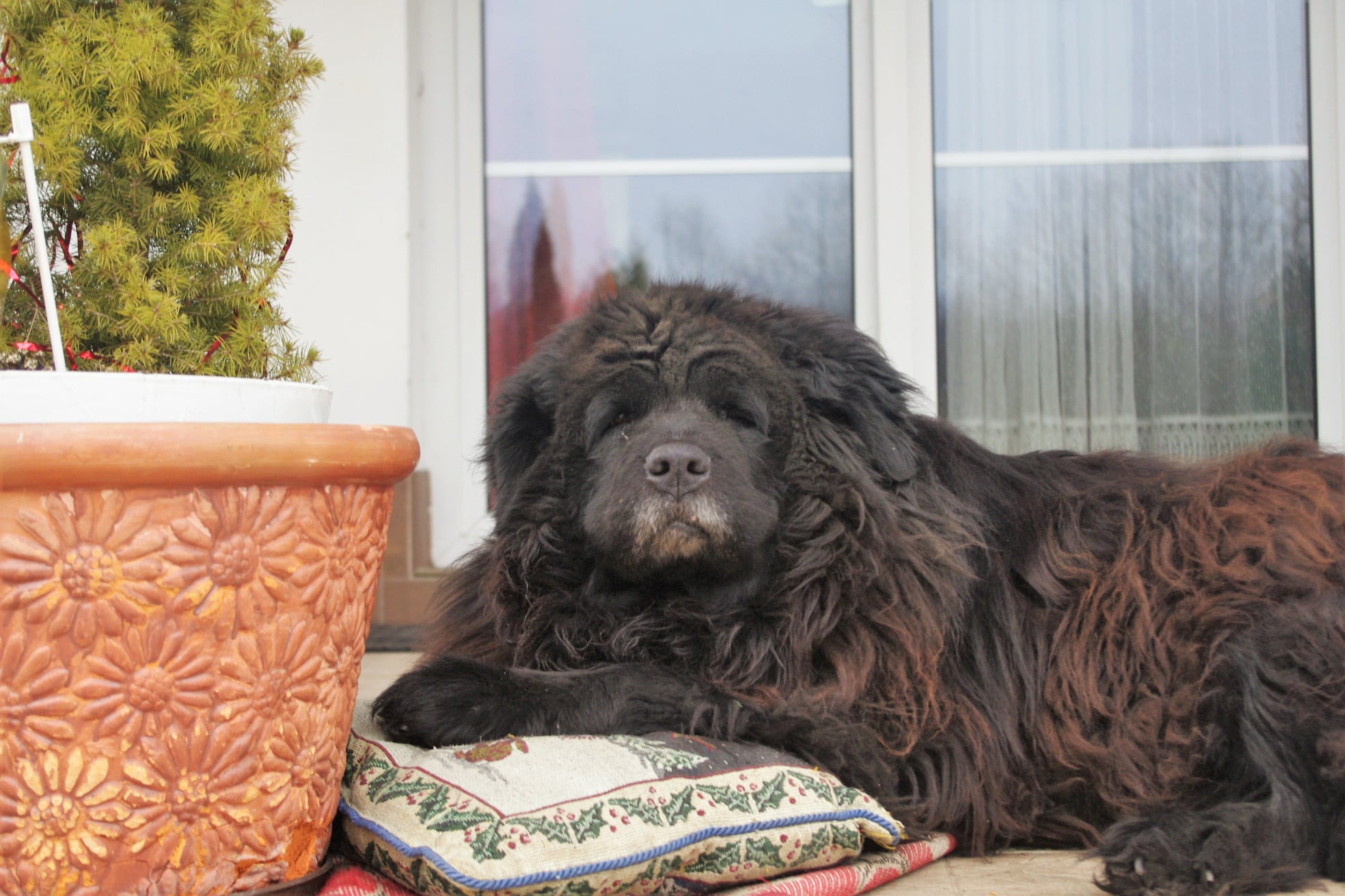 Z pamiętnika „Mój dany mi świat” czyli zwerbalizowane ,nazwane „po imieniu”, moje uczucia, myśli, odczucia mojego, naszego Realu.